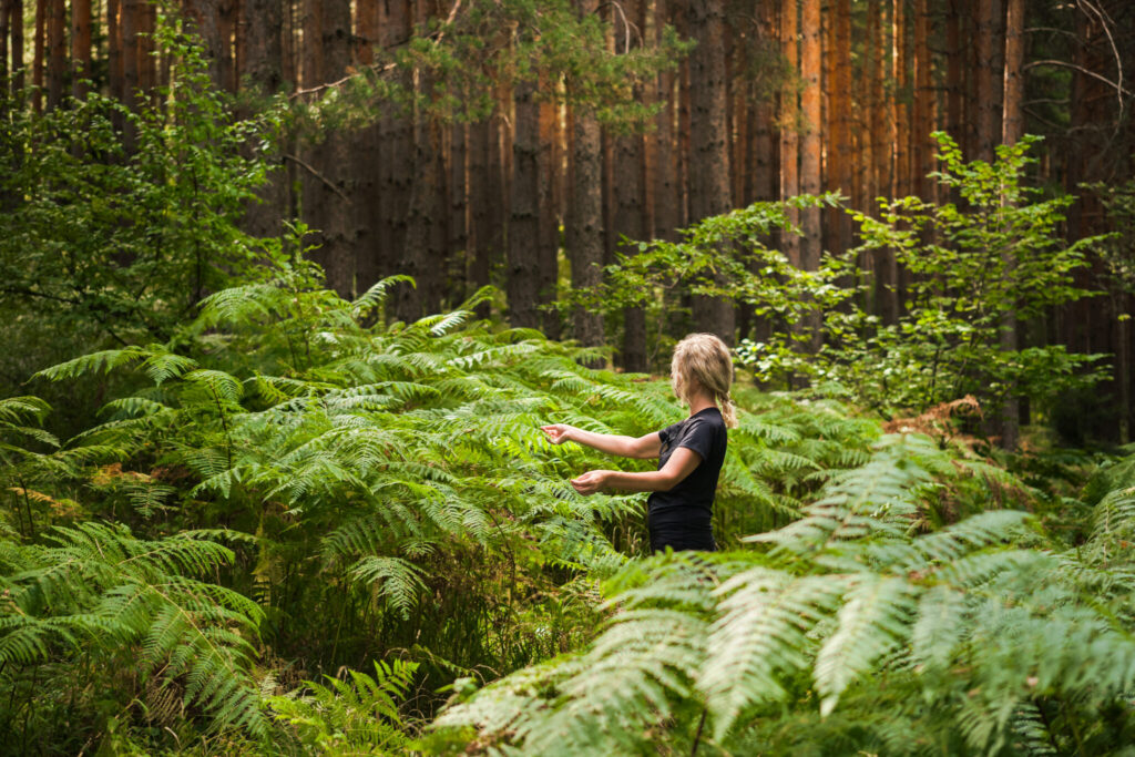 Wellness Expert Series - Forest Bathing